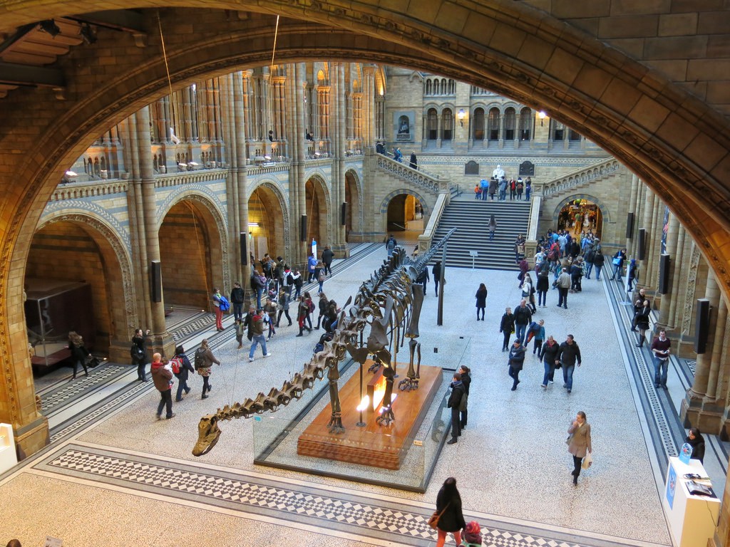 The Central Hall at the Natural History Museum