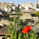Herculaneum featured 860x530