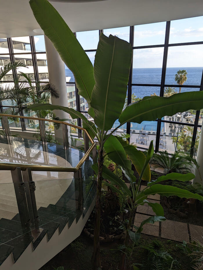 The reception area has a view of the hotel pool and the ocean - and the incredible indoor garden