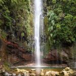 A waterfall in a forest in Madeira