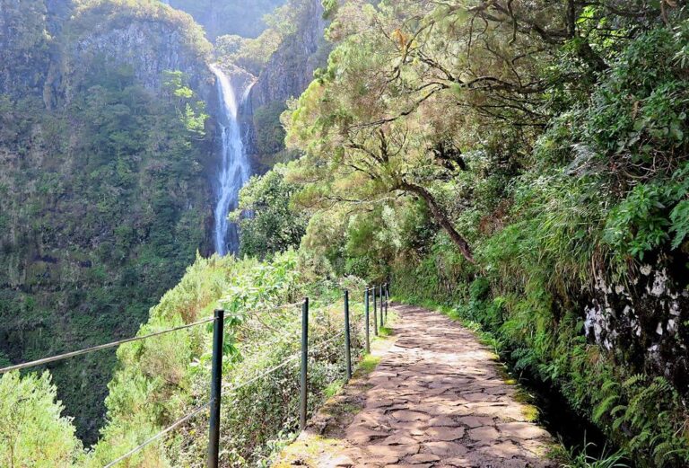 the-best-hikes-in-madeira-helen-on-her-holidays