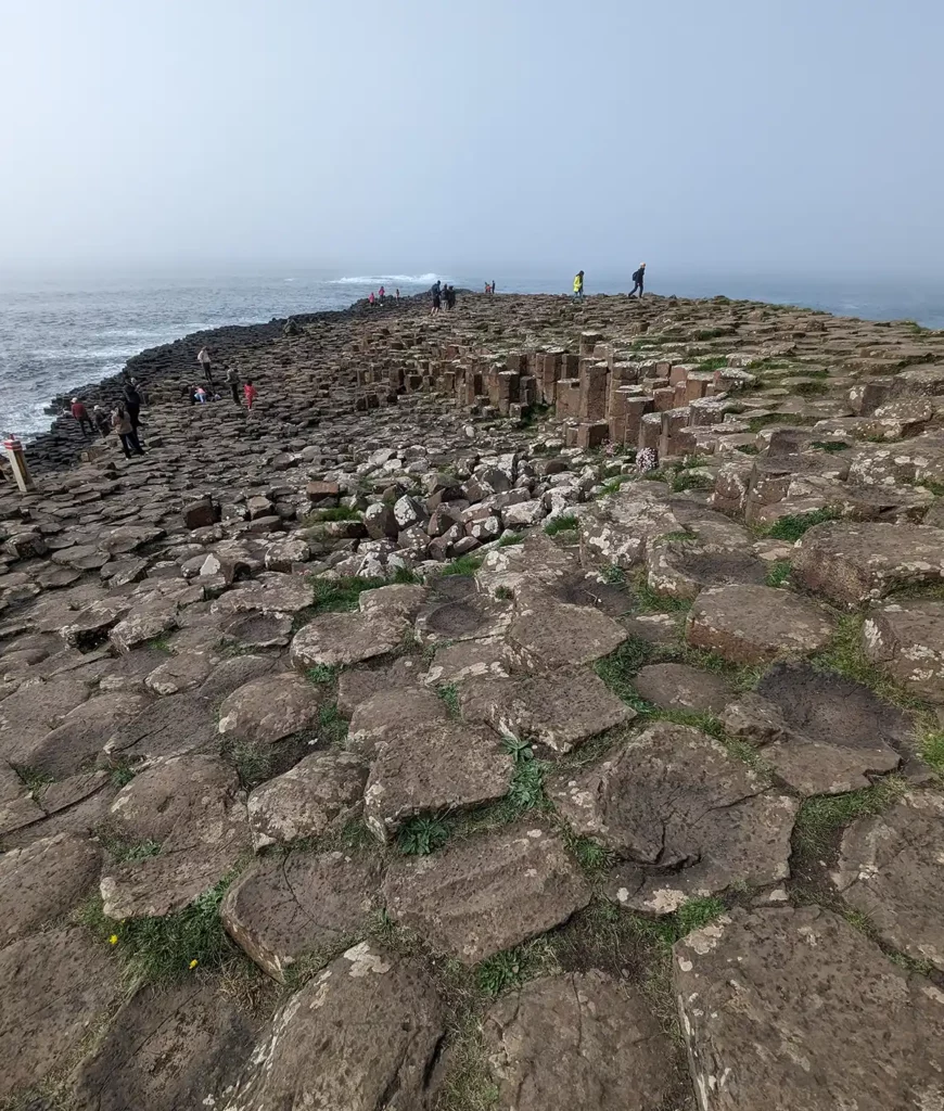 A pavement of hexagonal stones, leading towards the sea