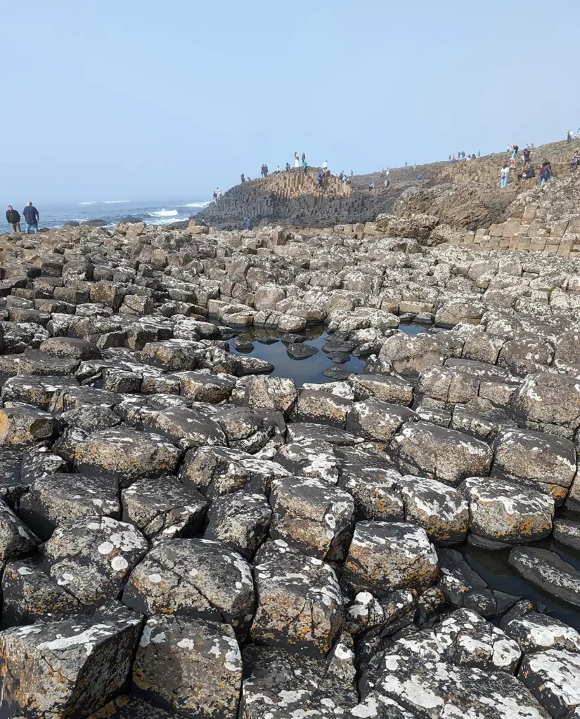 The hexagonal stones