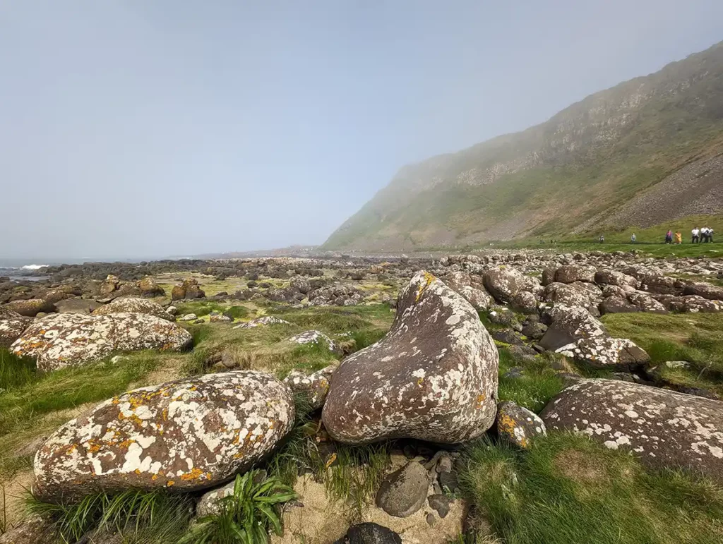 Moss-covered rocks at the base of a steep cliff by the sea