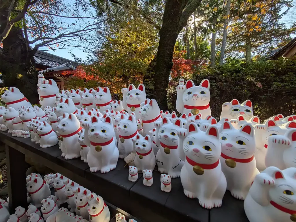 Maneki-neko (lucky cat) figures in different sizes on shelves