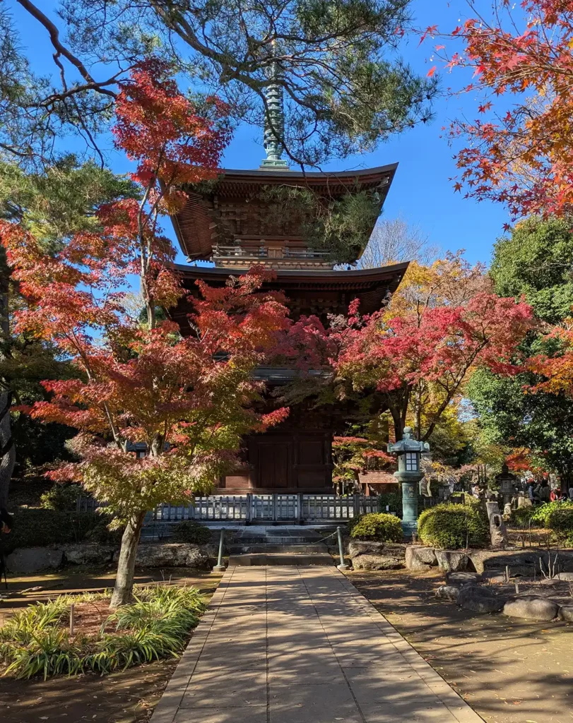 A tall, three-storey pagoda, surrounded by trees with autumn leaves against a blue sky