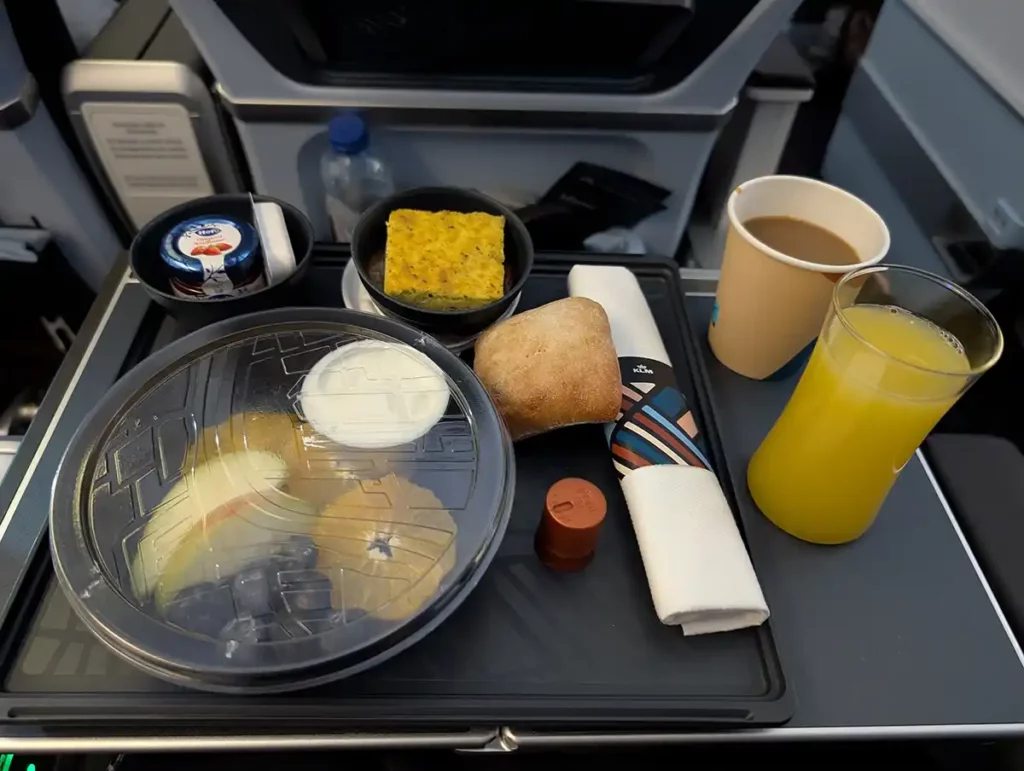 Breakfast just before landing on Tokyo