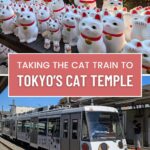 Taking the cat train to Tokyo's cat temple