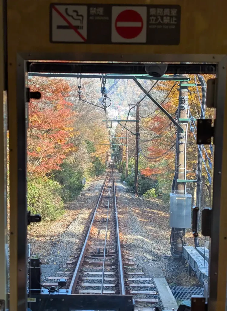 A view out of the front of a train down a long, straight line which goes down a hill. The track is lined with trees with beautiful autumn foliage.