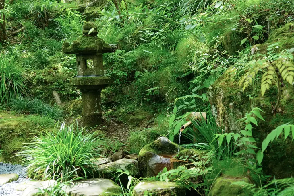 A lush green, mossy garden with a small stone sculpture