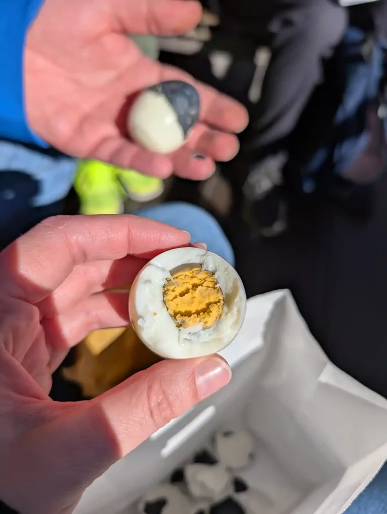 Eating black eggs at Owakudani. Two people are each holding an egg. The shells are black, but the insides look like normal hard-boiled eggs.