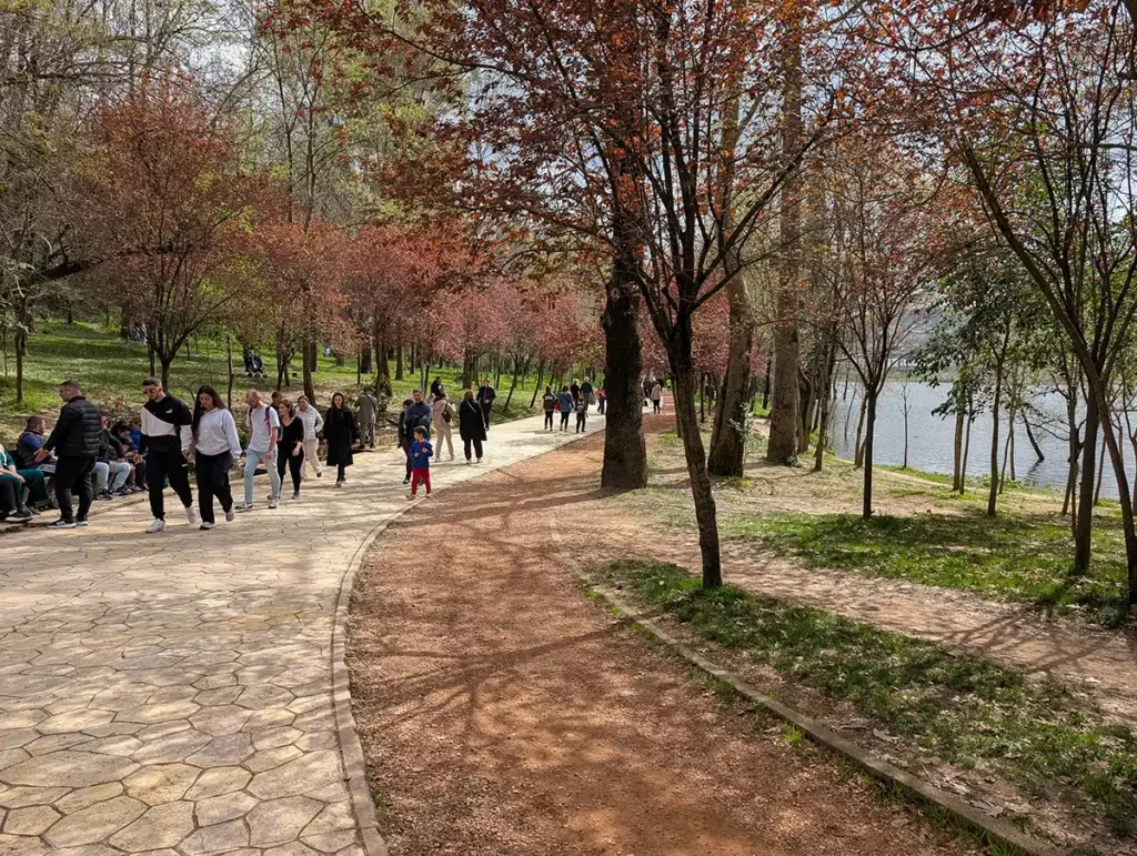 People walking on a path around a lake